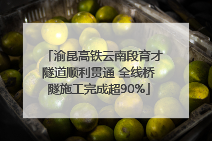 渝昆高铁云南段育才隧道顺利贯通 全线桥隧施工完成超90%