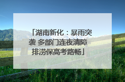 湖南新化：暴雨突袭 多部门连夜清障排涝保高考路畅