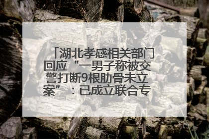 湖北孝感相关部门回应“一男子称被交警打断9根肋骨未立案”：已成立联合专班开展工作