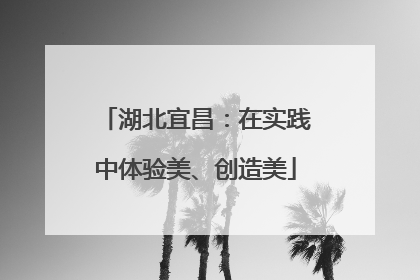 湖北宜昌：在实践中体验美、创造美