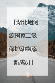 湖北堵河源国家二级保护动物添新成员