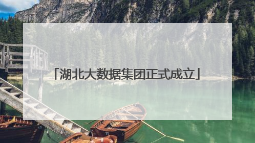 湖北大数据集团正式成立