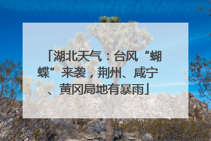 湖北天气：台风“蝴蝶”来袭，荆州、咸宁、黄冈局地有暴雨
