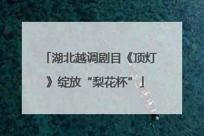 湖北越调剧目《顶灯》绽放“梨花杯”