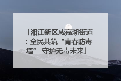 湘江新区咸嘉湖街道：全民共筑“青春防毒墙” 守护无毒未来