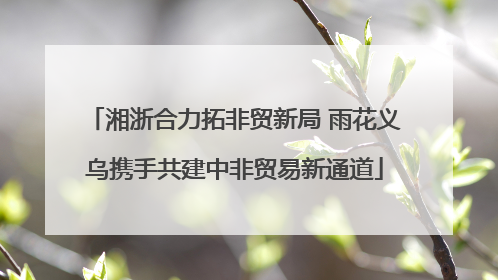 湘浙合力拓非贸新局 雨花义乌携手共建中非贸易新通道