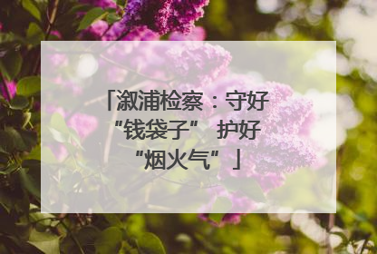 溆浦检察：守好“钱袋子” 护好“烟火气”
