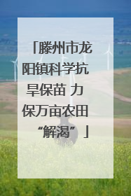 滕州市龙阳镇科学抗旱保苗 力保万亩农田“解渴”