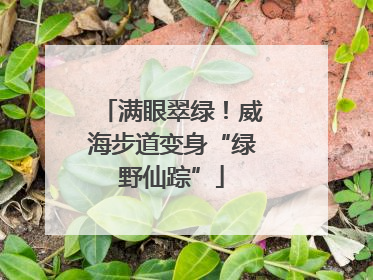 满眼翠绿！威海步道变身“绿野仙踪”