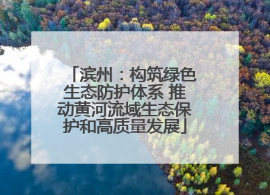 滨州：构筑绿色生态防护体系 推动黄河流域生态保护和高质量发展