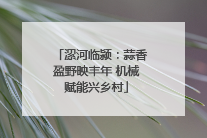 漯河临颍：蒜香盈野映丰年 机械赋能兴乡村