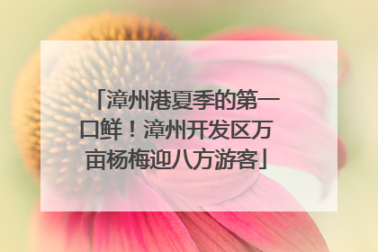 漳州港夏季的第一口鲜！漳州开发区万亩杨梅迎八方游客