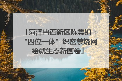 菏泽鲁西新区陈集镇：“四位一体”织密禁烧网 绘就生态新画卷