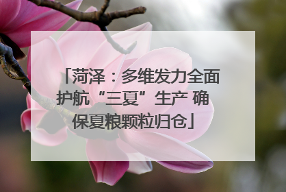 菏泽：多维发力全面护航“三夏”生产 确保夏粮颗粒归仓