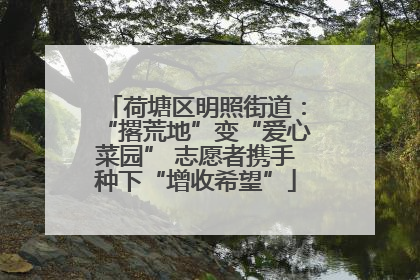 荷塘区明照街道：“撂荒地”变“爱心菜园” 志愿者携手种下“增收希望”