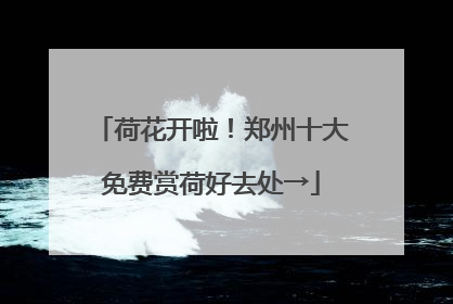 荷花开啦！郑州十大免费赏荷好去处→