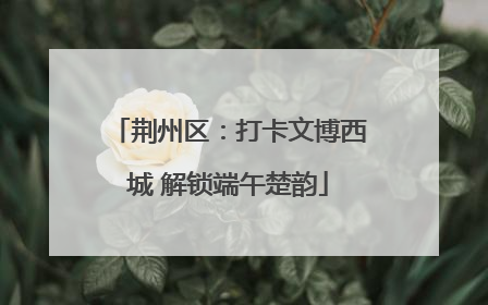 荆州区：打卡文博西城 解锁端午楚韵