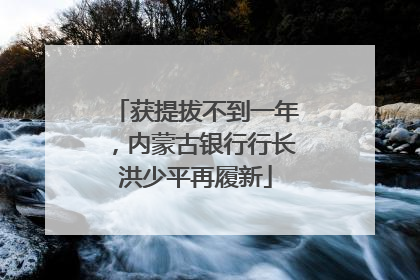 获提拔不到一年，内蒙古银行行长洪少平再履新