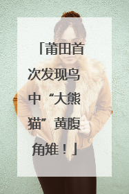 莆田首次发现鸟中“大熊猫”黄腹角雉！