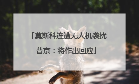 莫斯科连遭无人机袭扰 普京：将作出回应