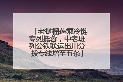老挝榴莲乘冷链专列抵蓉，中老班列公铁联运出川分拨专线增至五条