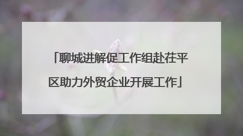 聊城进解促工作组赴茌平区助力外贸企业开展工作