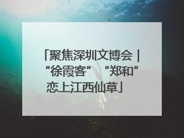 聚焦深圳文博会｜“徐霞客”“郑和”恋上江西仙草