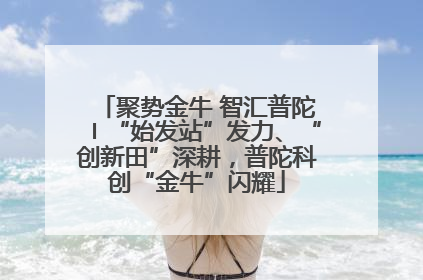 聚势金牛 智汇普陀〡“始发站”发力、“创新田”深耕，普陀科创“金牛”闪耀