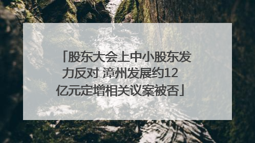 股东大会上中小股东发力反对 漳州发展约12亿元定增相关议案被否