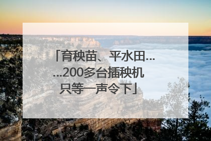 育秧苗、平水田……200多台插秧机只等一声令下