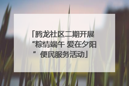 腾龙社区二期开展 “粽情端午 爱在夕阳”便民服务活动