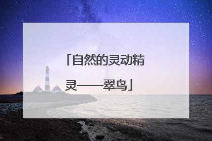 自然的灵动精灵——翠鸟