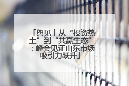 舆见丨从“投资热土”到“共赢生态”：峰会见证山东市场吸引力跃升