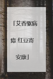 艾香驱病瘴 红豆寄安康