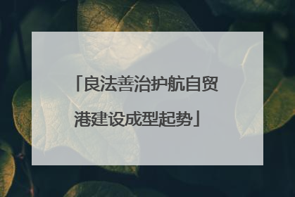 良法善治护航自贸港建设成型起势