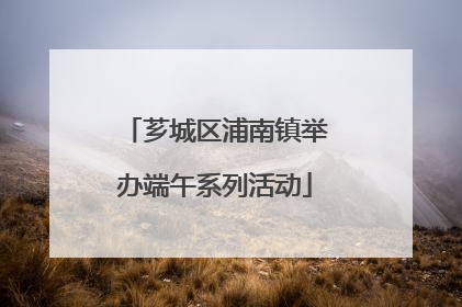 芗城区浦南镇举办端午系列活动