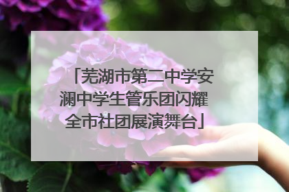 芜湖市第二中学安澜中学生管乐团闪耀全市社团展演舞台