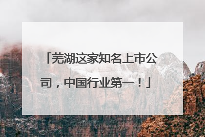 芜湖这家知名上市公司，中国行业第一！