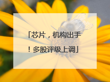 芯片，机构出手！多股评级上调