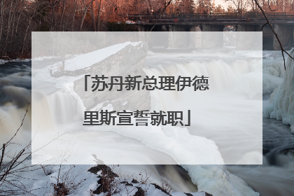 苏丹新总理伊德里斯宣誓就职