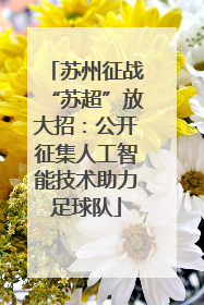 苏州征战“苏超”放大招：公开征集人工智能技术助力足球队