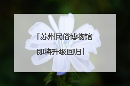 苏州民俗博物馆即将升级回归