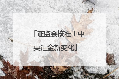 证监会核准！中央汇金新变化