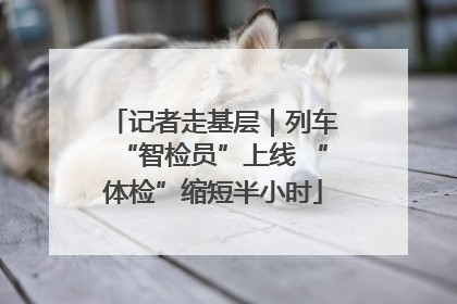 记者走基层｜列车“智检员”上线 “体检”缩短半小时