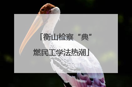 衡山检察“典”燃民工学法热潮