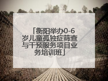 衡阳举办0-6岁儿童孤独症筛查与干预服务项目业务培训班