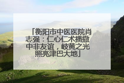 衡阳市中医医院肖志强：仁心仁术播撒中非友谊，岐黄之光照亮津巴大地