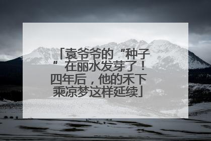 袁爷爷的“种子”在丽水发芽了！四年后，他的禾下乘凉梦这样延续