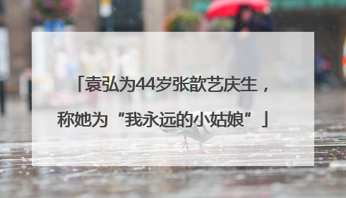 袁弘为44岁张歆艺庆生，称她为“我永远的小姑娘”