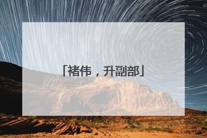 褚伟，升副部